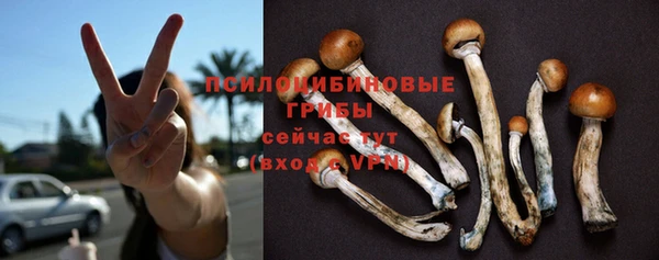 спиды Алзамай