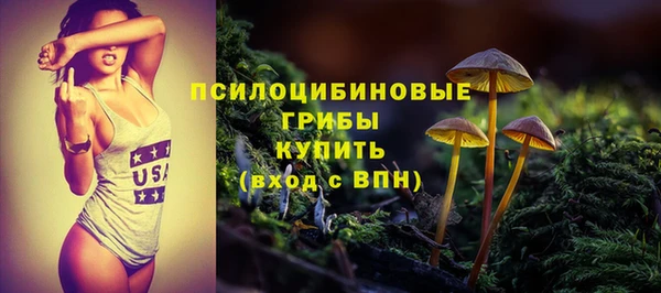 молекула духа Алексин