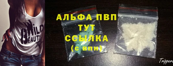 спиды Алзамай