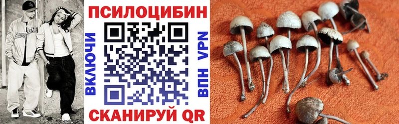 Галлюциногенные грибы прущие грибы  Орехово-Зуево 